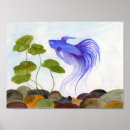 Recherche de betta posters Bleu