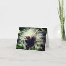 Search for flower seed cards Nature