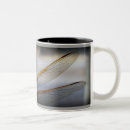 Search for flying dragonfly mugs Nature