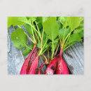 Recherche de radiateur cartes postales Rouge