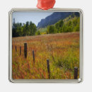 Search for grass ornaments Colour
