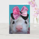 Search for ferret birthday cards Pet
