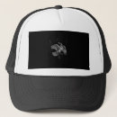 Recherche de oiseaux casquettes Corneille