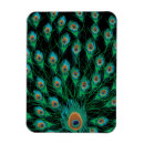 Search for peacock feather magnets Elegance