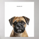 Search for border terriers posters Cute
