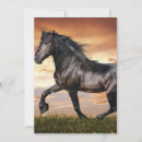 Search for horses running invitations Wild horse