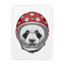 Recherche de panda magnets Mignon