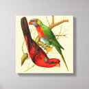Search for vintage parrot art Colourful