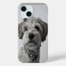 Search for schnauzer iphone cases Puppy