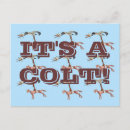 Search for colt postcards Animal