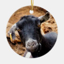 Recherche de chèvre drôle ornements Mignon