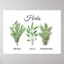Search for rosemary herb posters Garden