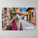 Search for peru posters Llama