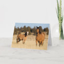 Search for ken cards Ranch