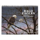 Search for balding photography Bald eagles