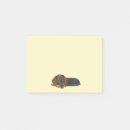 Recherche de dachshund posters Mignonette