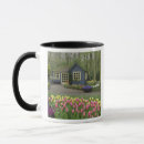 Recherche de jardin cottage tasses Nature