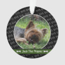 Recherche de christmas traditions ornamente Tradition annuelle