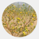 Recherche de bush gear stickers Fleur