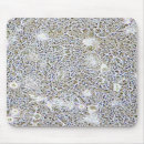 Search for experiments mousepads Biology