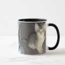 Search for abyssinian mugs Kitten