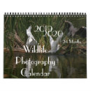 Search for peacock calendars Wildlife