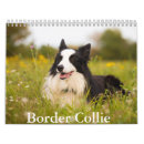 Search for border collie calendars Puppy
