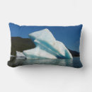 Recherche de iceberg coussins Nature