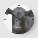 Search for angus cow posters Animal