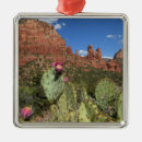 Search for sedona arizona ornaments Nature