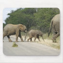 Search for big ear mousepads Baby