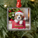 Search for beagle ornaments Animal