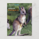 Search for kangaroo postcards Cute