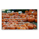 Recherche de chrysanthème cartes visite Automne