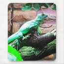 Recherche de écologie tapis souris Vert