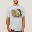 Search for plucker Chicken plucker