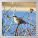 Recherche de nord posters Nature