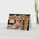Search for new mom cards Sweet