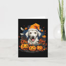 Search for corn dogs cards Night owl