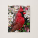 Recherche de cardinal puzzles Oiseaux