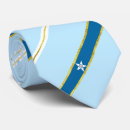 Search for houston tx ties United states