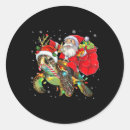 Search for christmas turtle stickers Xmas