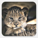 Search for lion cub stickers Cute