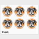Search for in memory of dog stickers Pet
