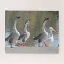 Recherche de oies puzzles Lac