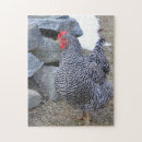 Search for chicken egg puzzles Farm