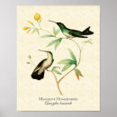 Search for mangrove posters Bird