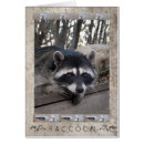 Recherche de totem animal cartes postales Nature