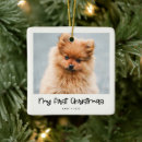 Search for cute animals ornaments First christmas