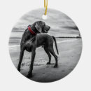 Search for black and white dog ornaments Red